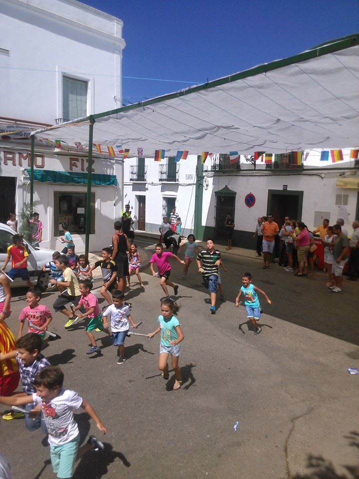 Ferias y fiestas San Ginés de la Jara 2014